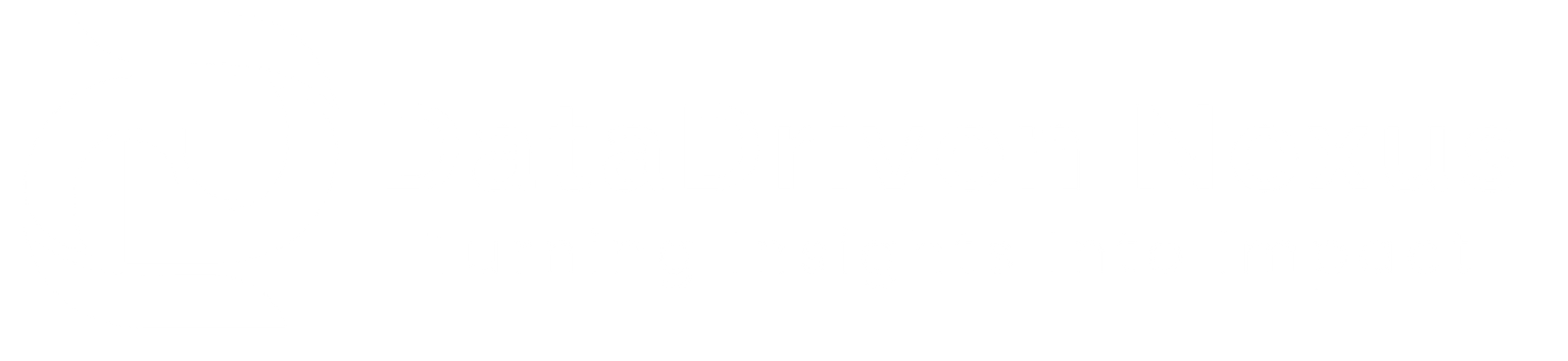 DataDriven Primary Logo White